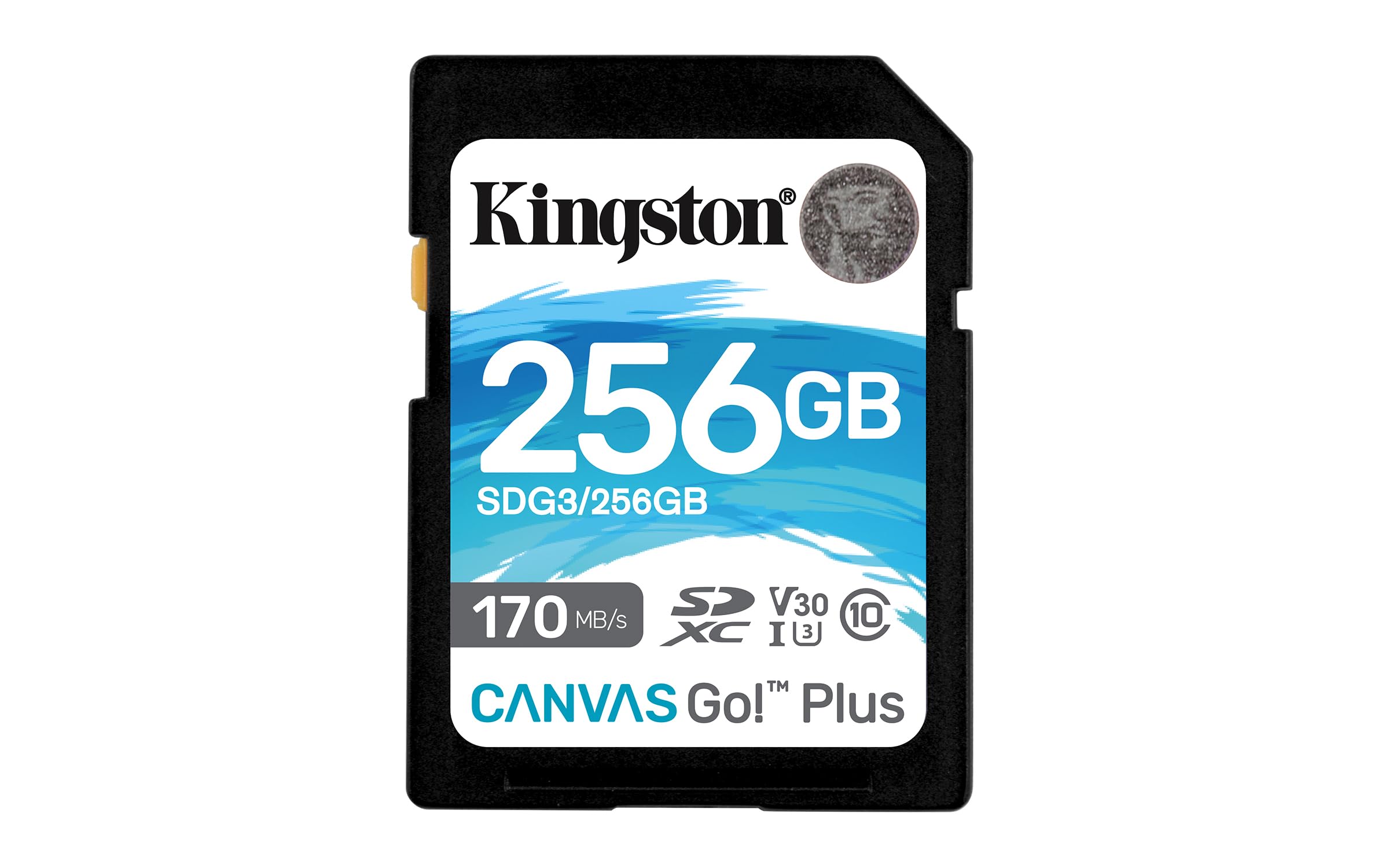 Kingston Canvas Go! Plus SD card 256GB SDXC 170R C10 UHS-I U3 V30
